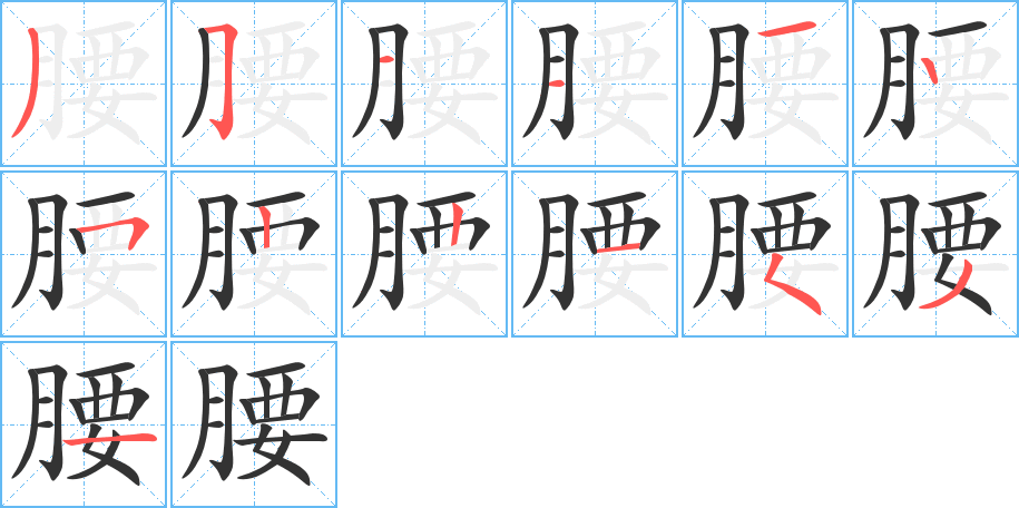 腰的筆順筆畫