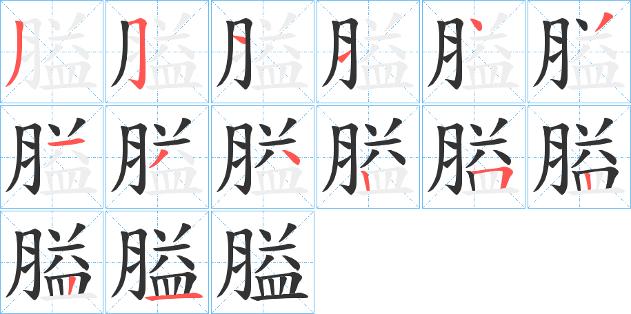 膉的筆順筆畫